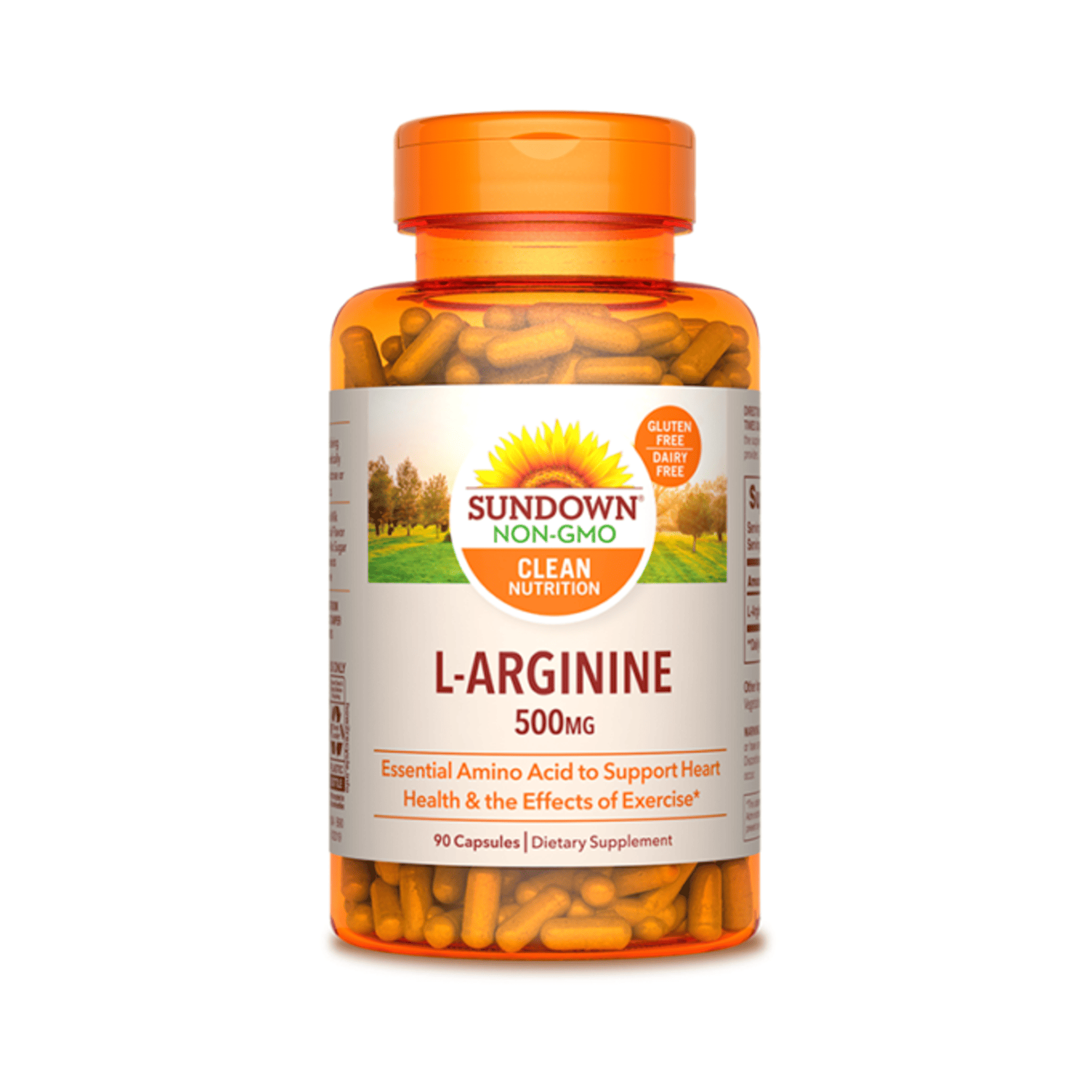 L-ARGiNINE 500 mg - fco x 90 tab. 1