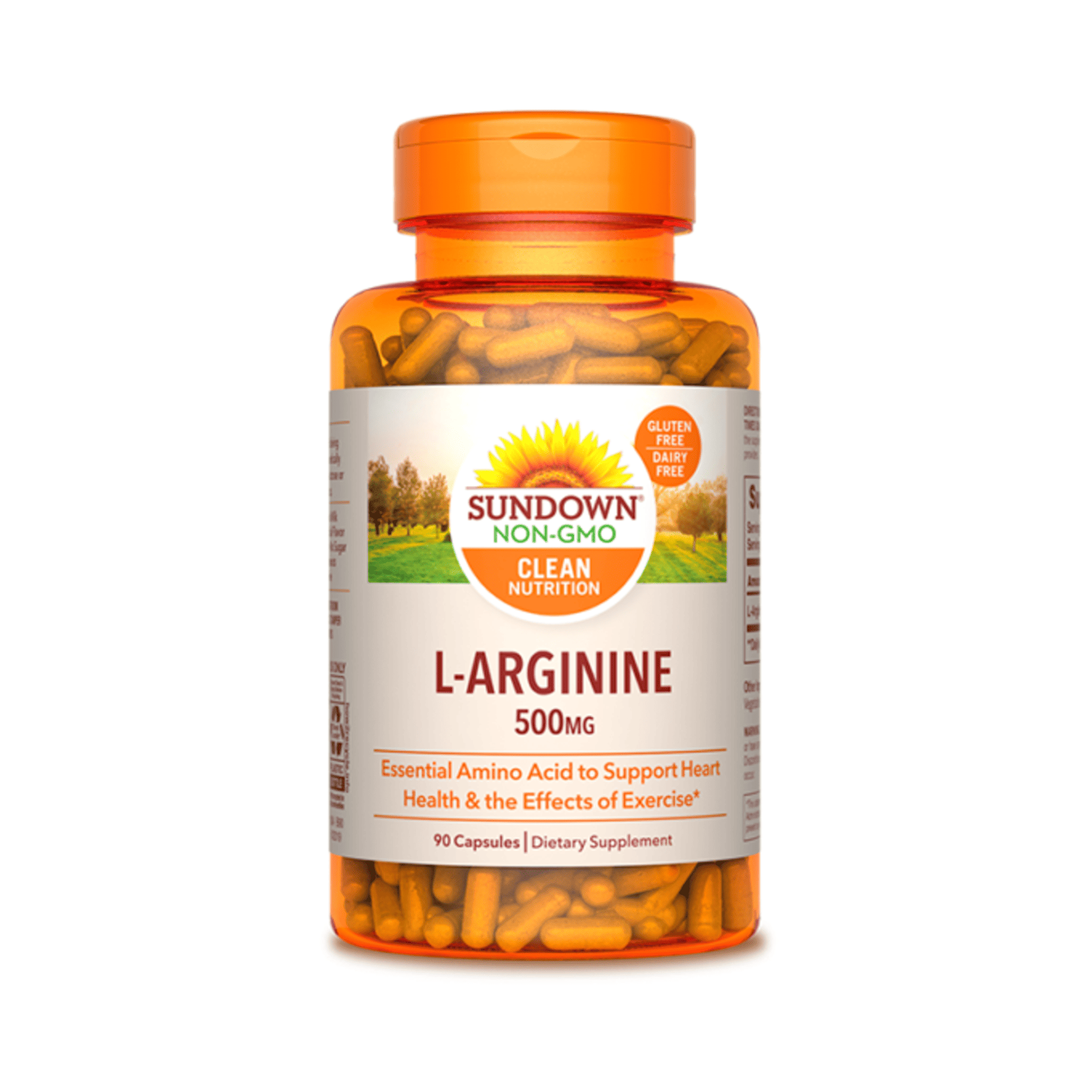 L-ARGiNINE 500 mg - fco x 90 tab. 1