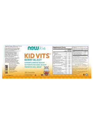 KID VITS (TM) BERRY BLAST - fco 120 past masticables