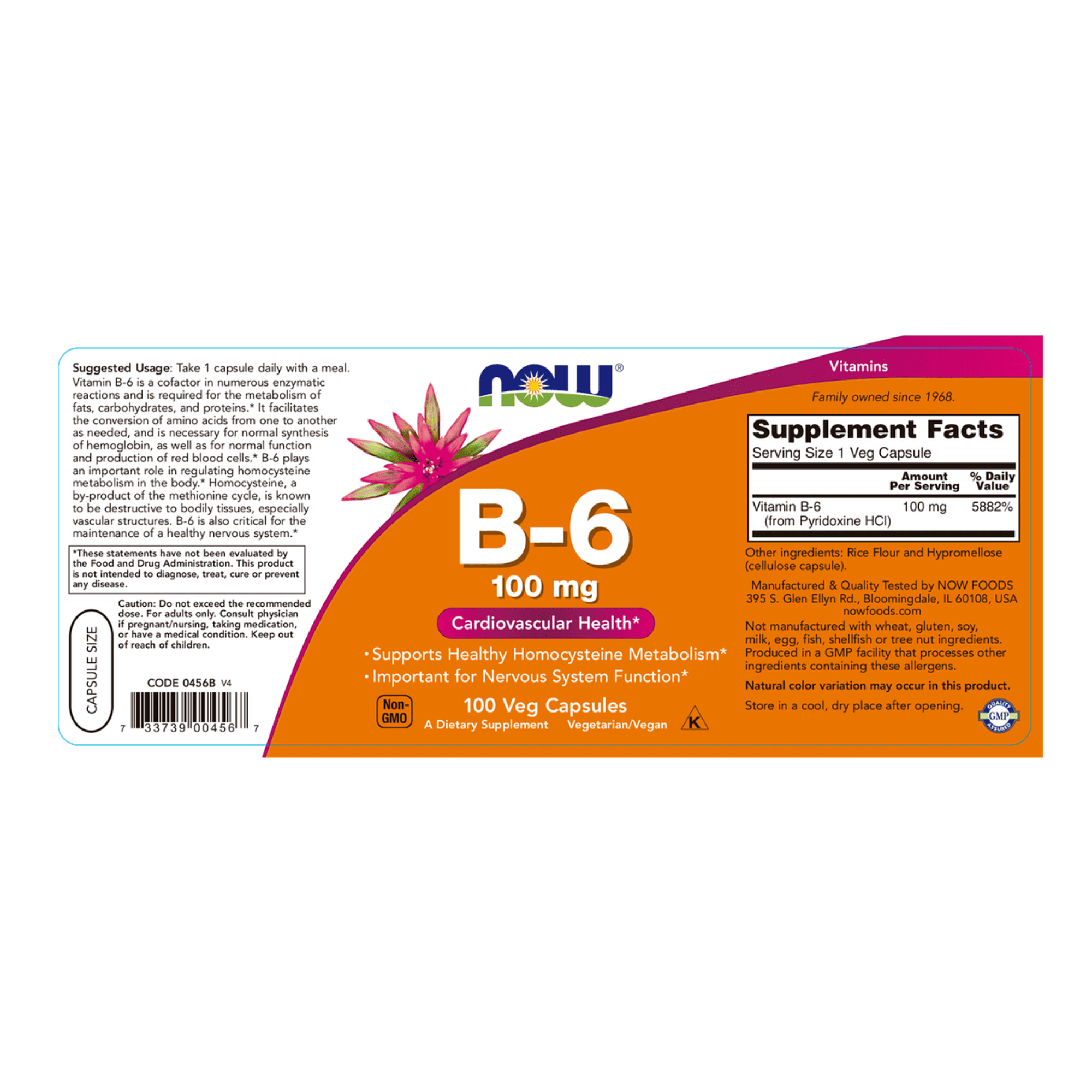 B-6 100 mg (vitamina B6) - fco x 100 cap 2