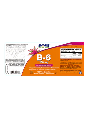 B-6 100 mg (vitamina B6) - fco x 100 cap