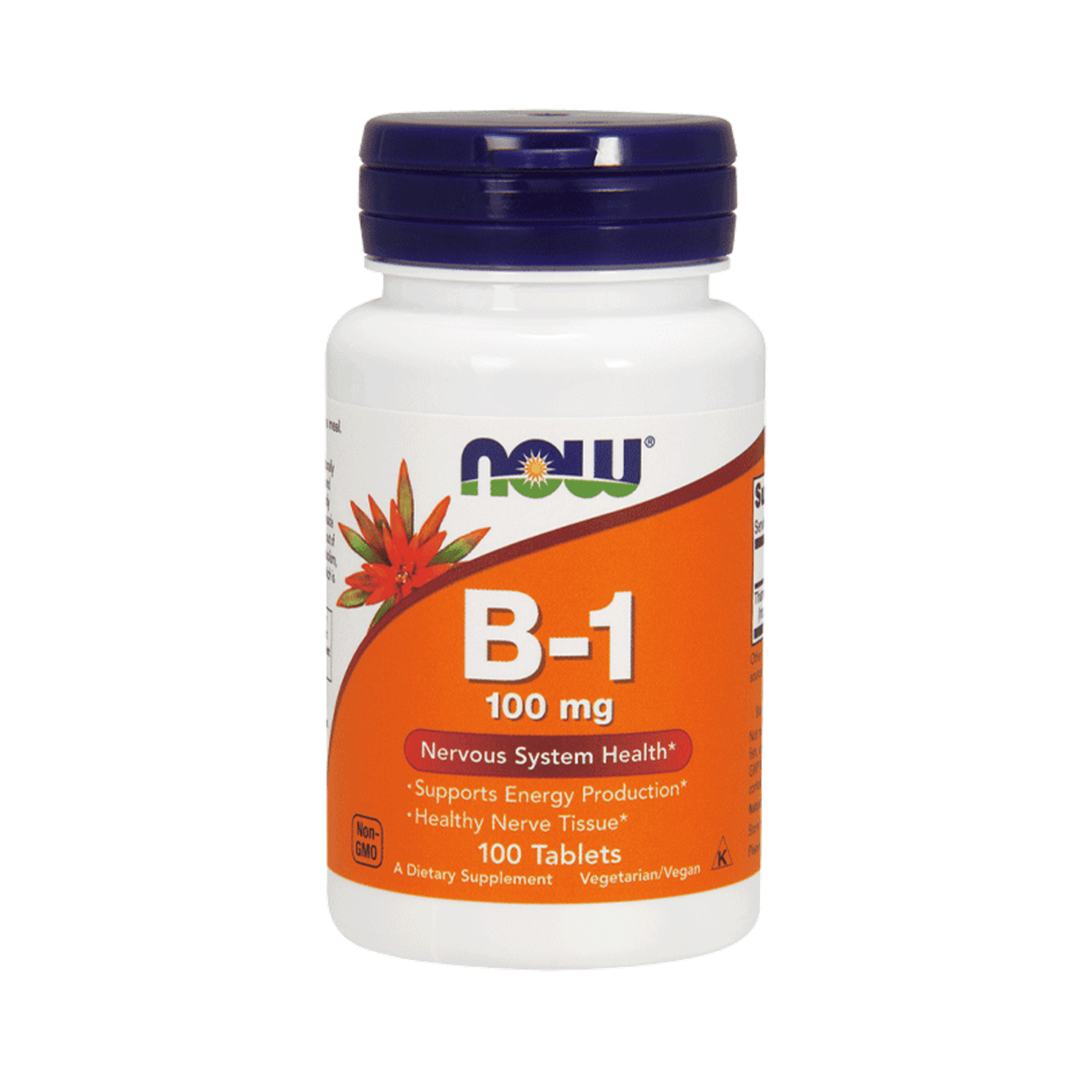 B-1 100 mg (vitamina B1) - fco x 100 tab 1