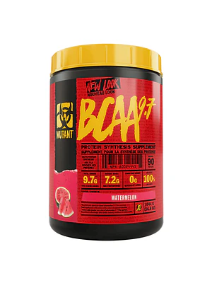 BCAA - fco x 348 g 