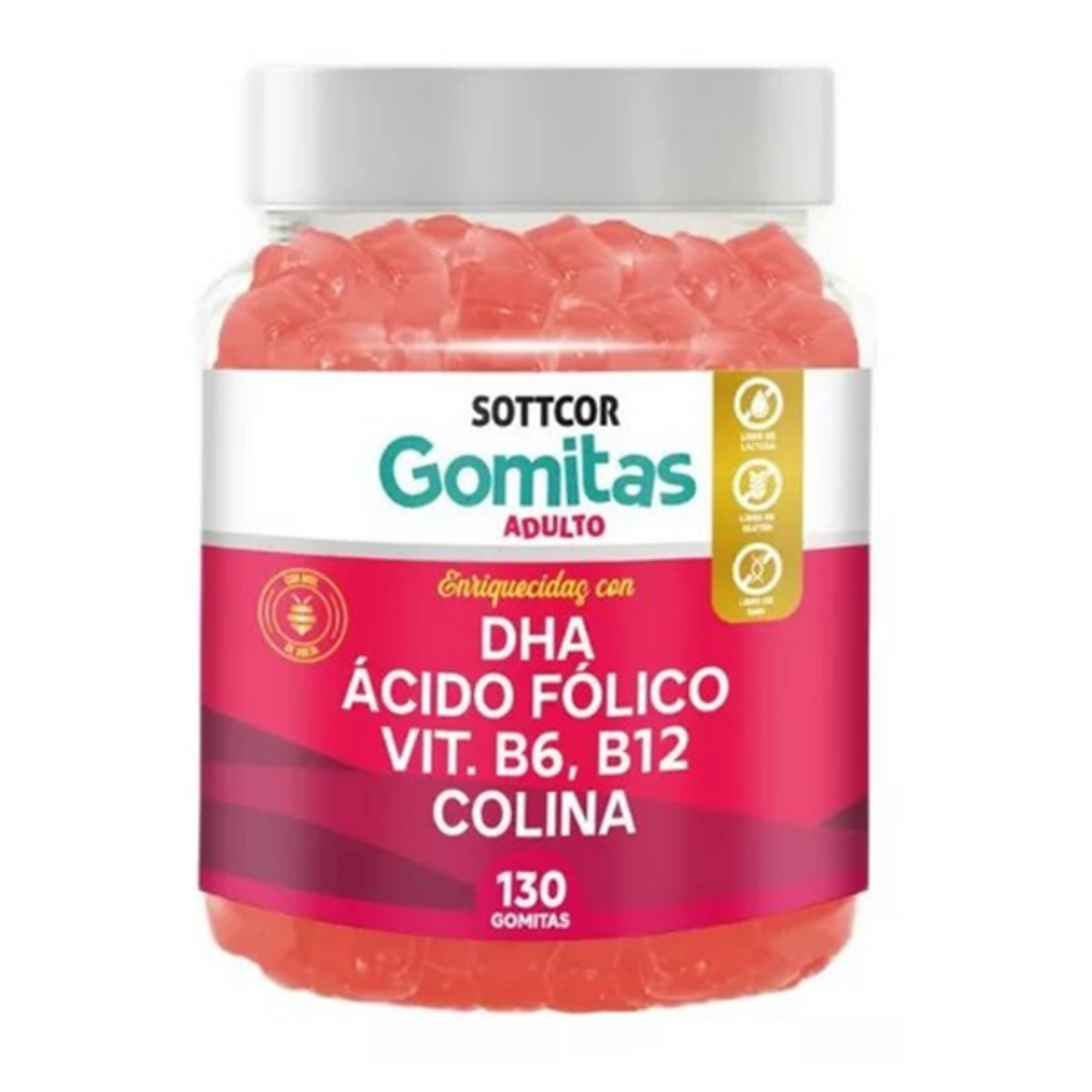 DHA ACIDO FOLICO VIT B6, B12 COLINA - fco x 130 gomitas  1