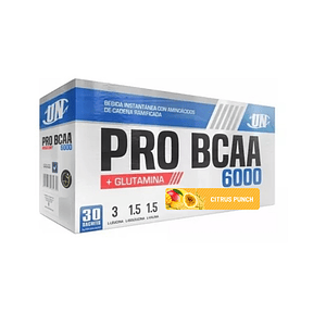 UN PRO BCAA x 500 g pote - NARANJA