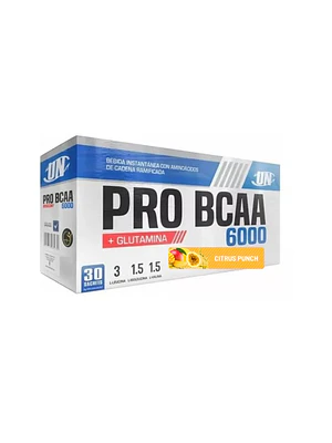 UN PRO BCAA x 500 g pote - NARANJA