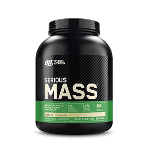 SERIOUS MASS 