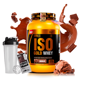 ISO GOLD WHEY x 2.43 lb (1100 g) pote - LEVEL PRO