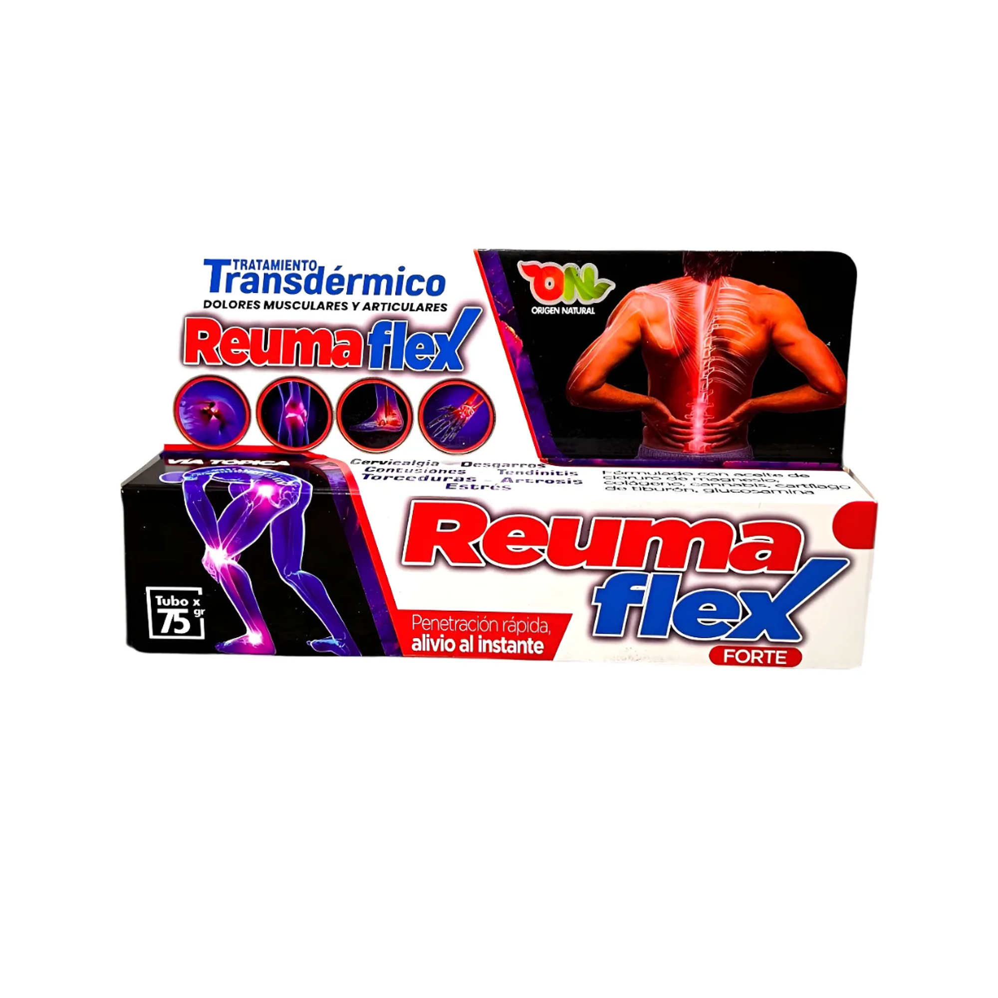  REUMAFLEX FORTE - tbo x 75 gr. 1