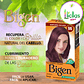  Tinte Bigen 96 Permanente Polvo 6g Sin Amoniaco Cubre Canas Borgoña - Miniatura 6
