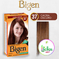 Bigen 37 Caoba Oscuro X 6g Tinte Para Cabello Cejas Barba - Miniatura 5