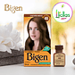 Bigen 46 Castaño Mediano X 6g Tinte Para Cabello Cejas Barba - Miniatura 6