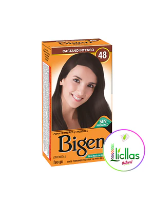 Bigen 48 Castaño Intenso X 6g Tinte Para Cabello Cejas Barba