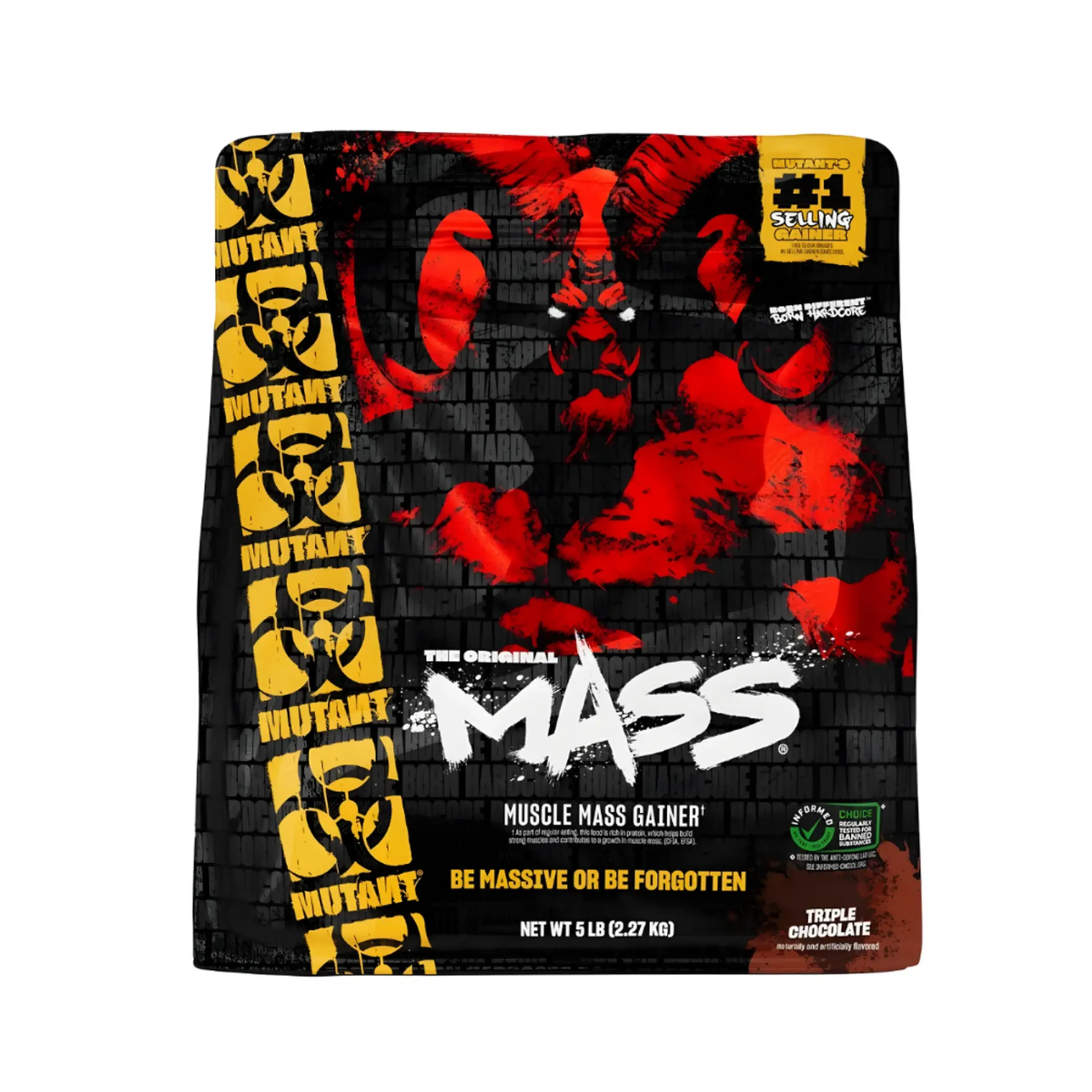 MASS x 5 libras (2.27 kg) pote - CHOCOLATE 1