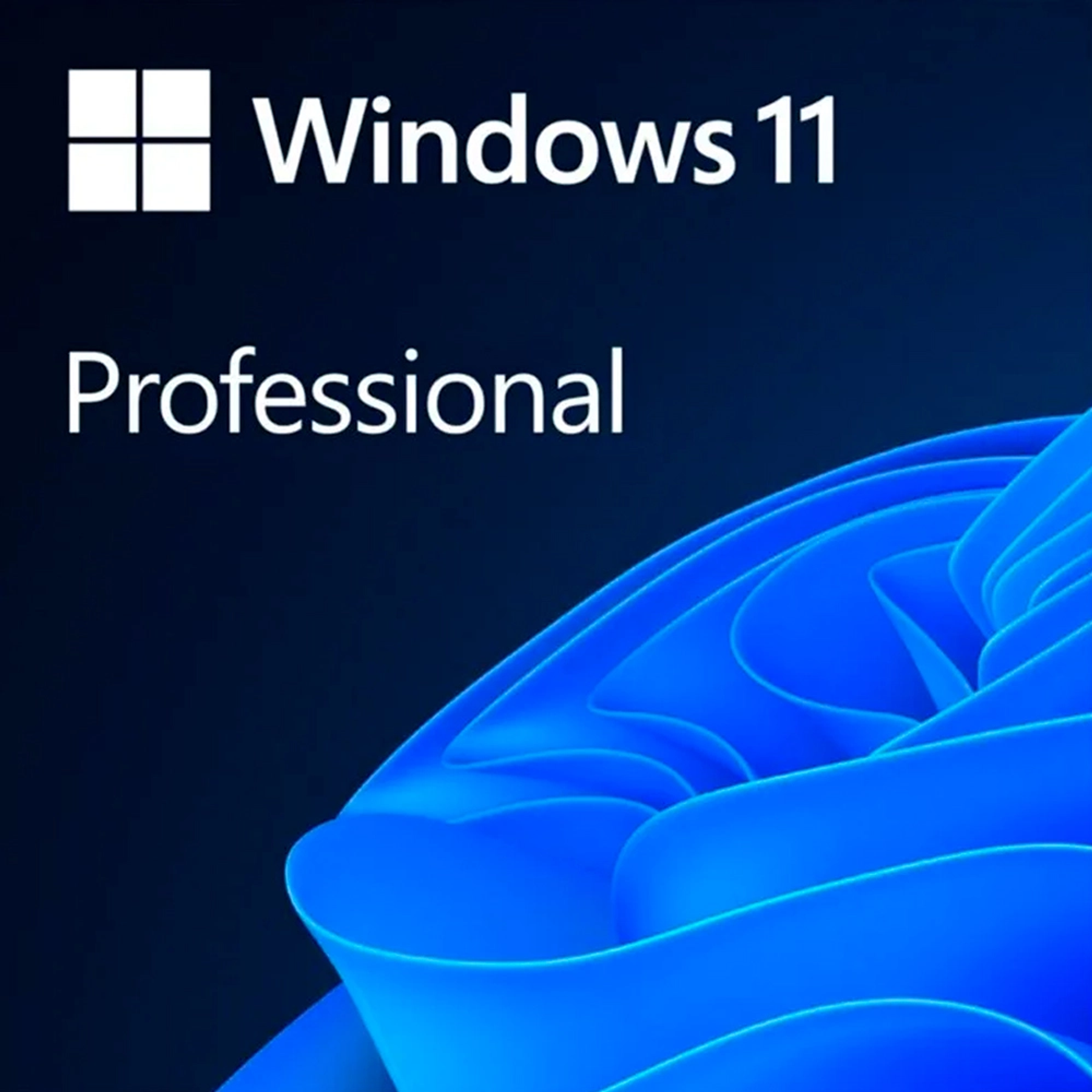 Windows Profesional 11 