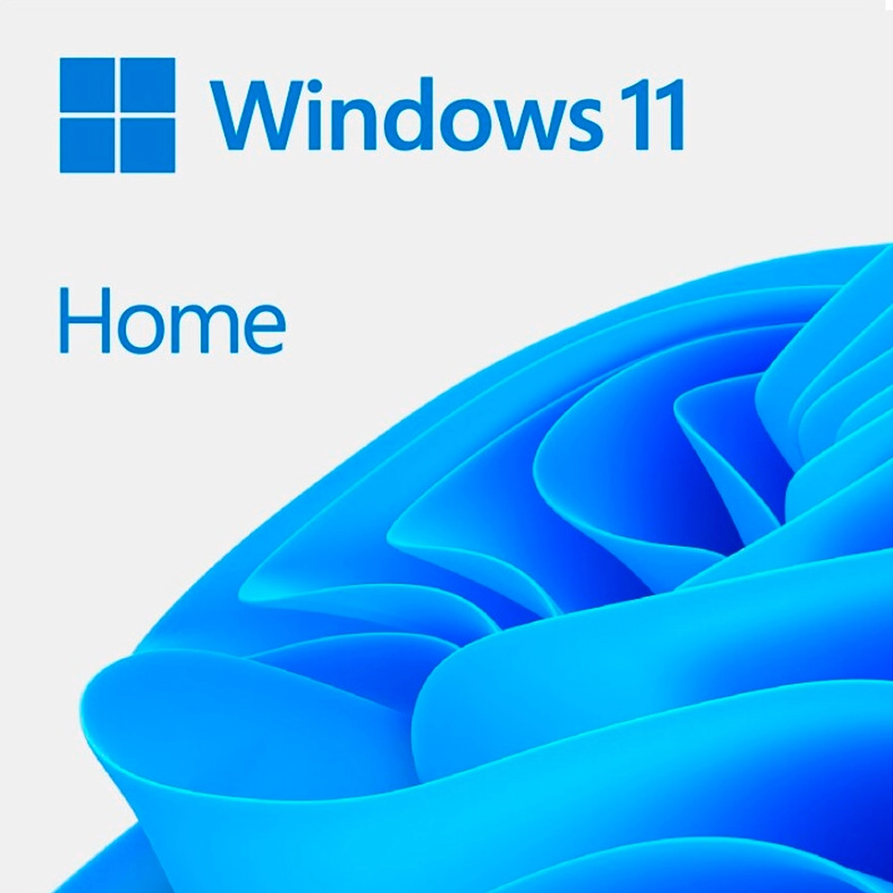 Windows Home 11