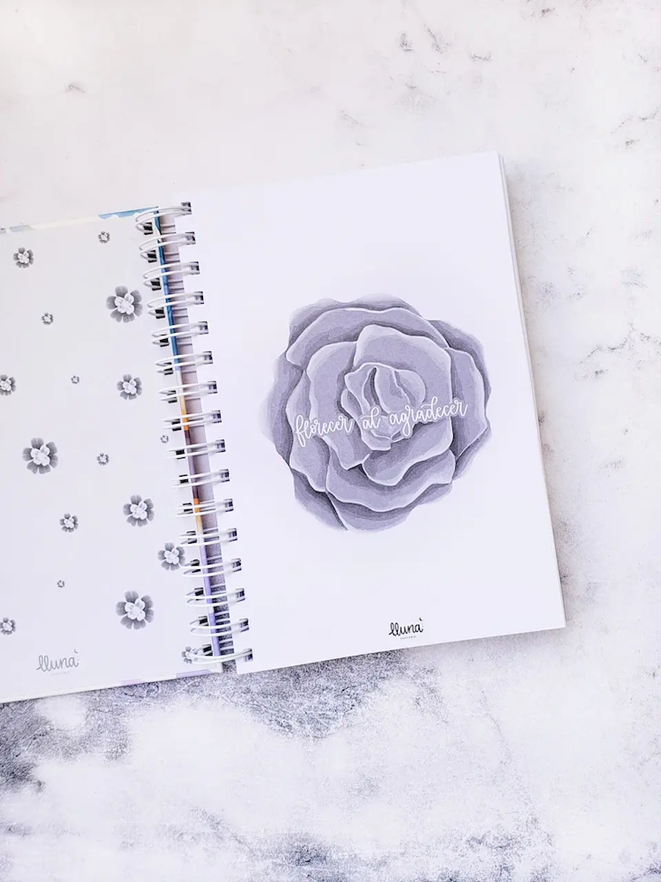 Diario de Gratitud 3