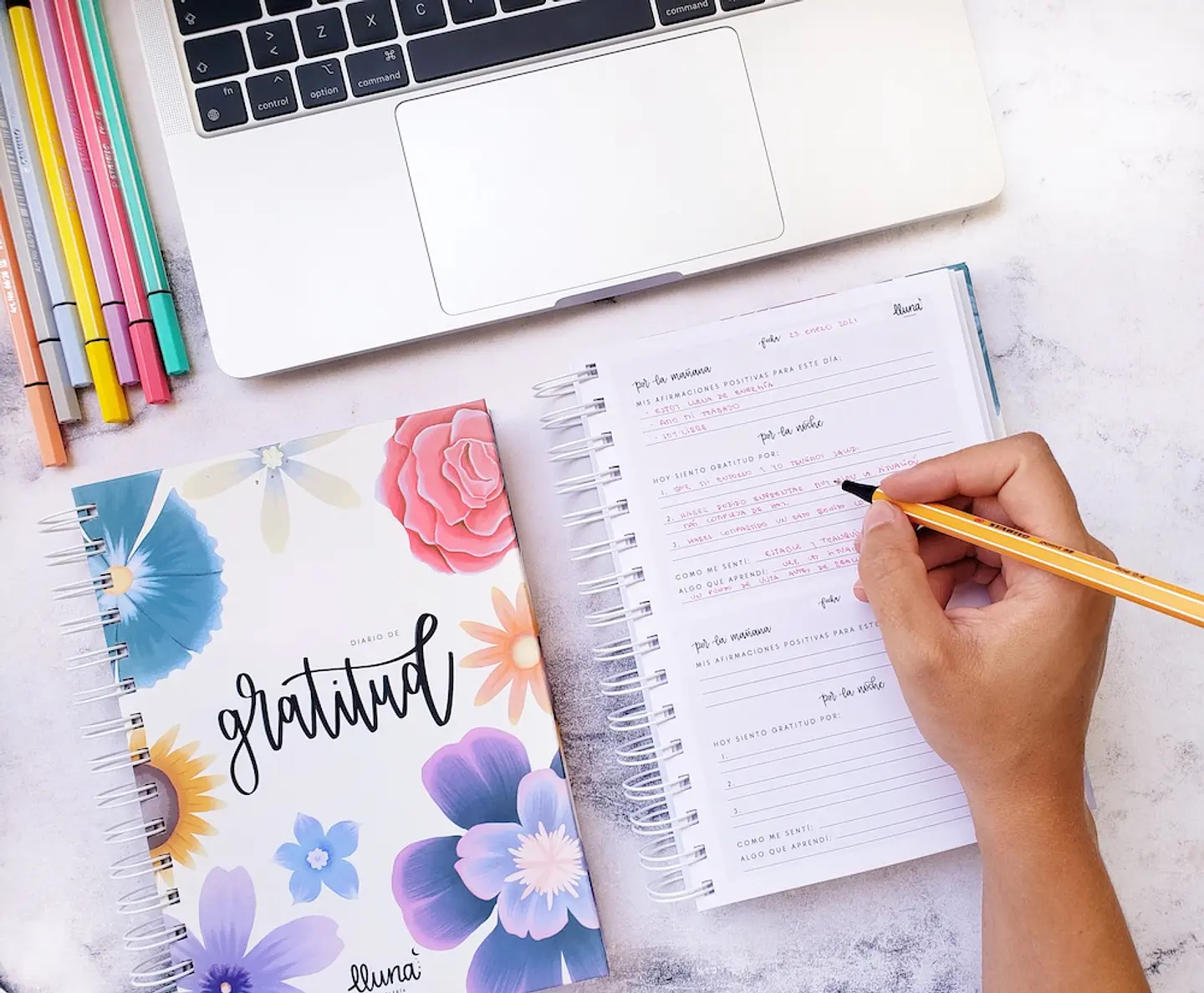 Diario de Gratitud 6