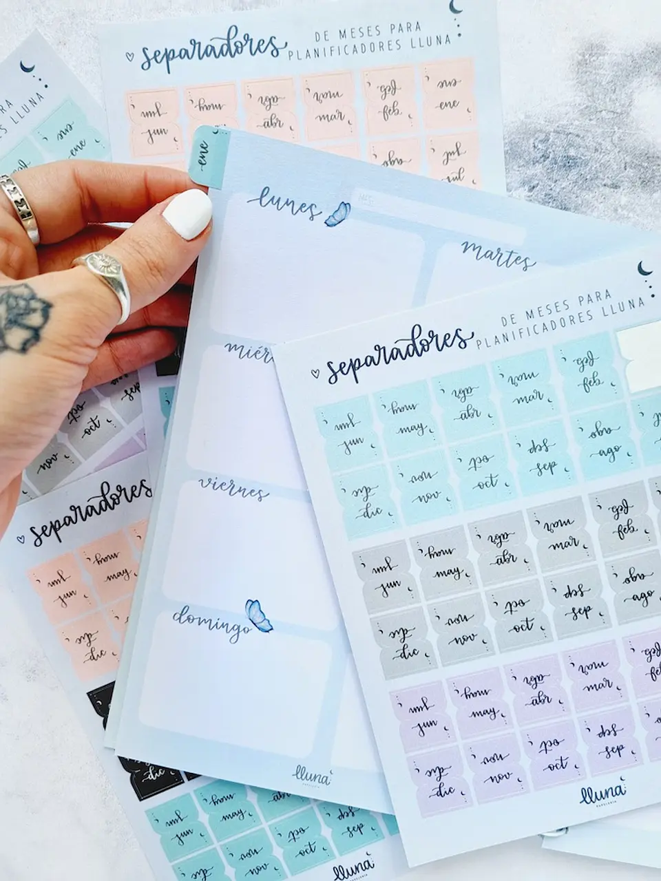 Set de Separadores de Meses 7