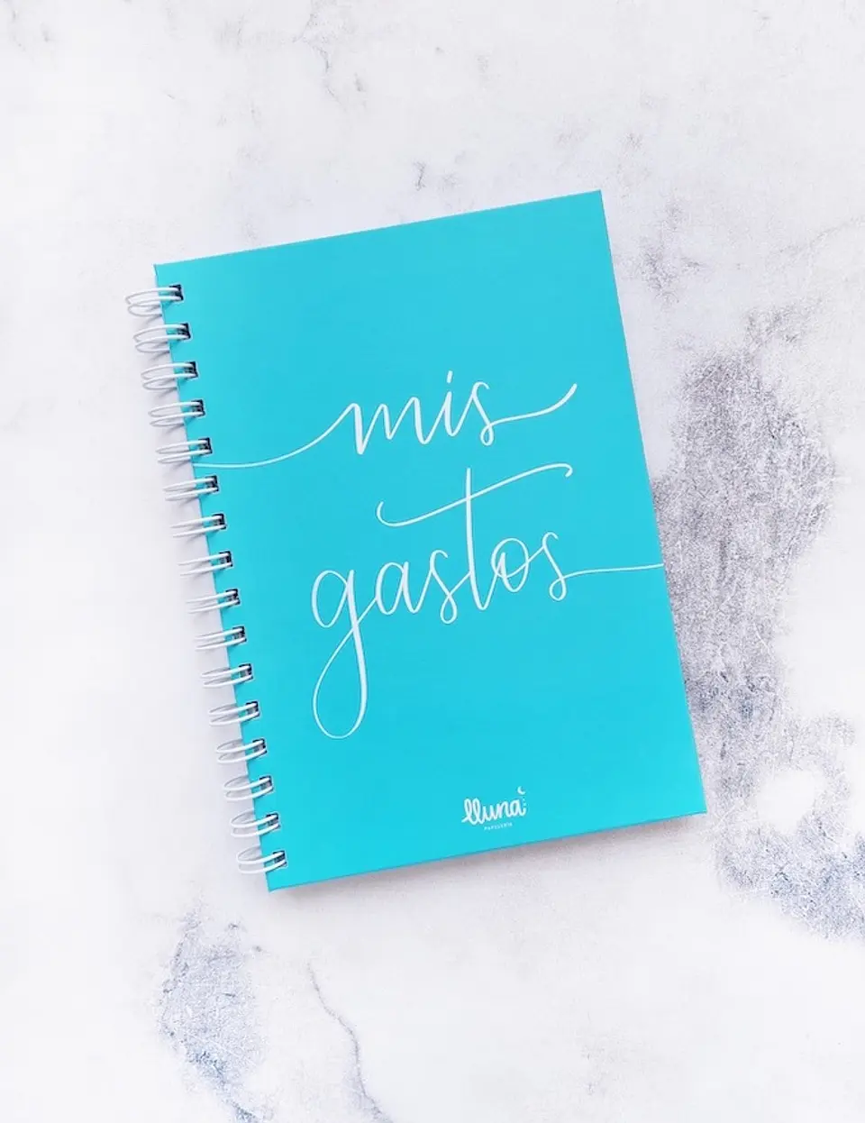 Planner Gastos 1