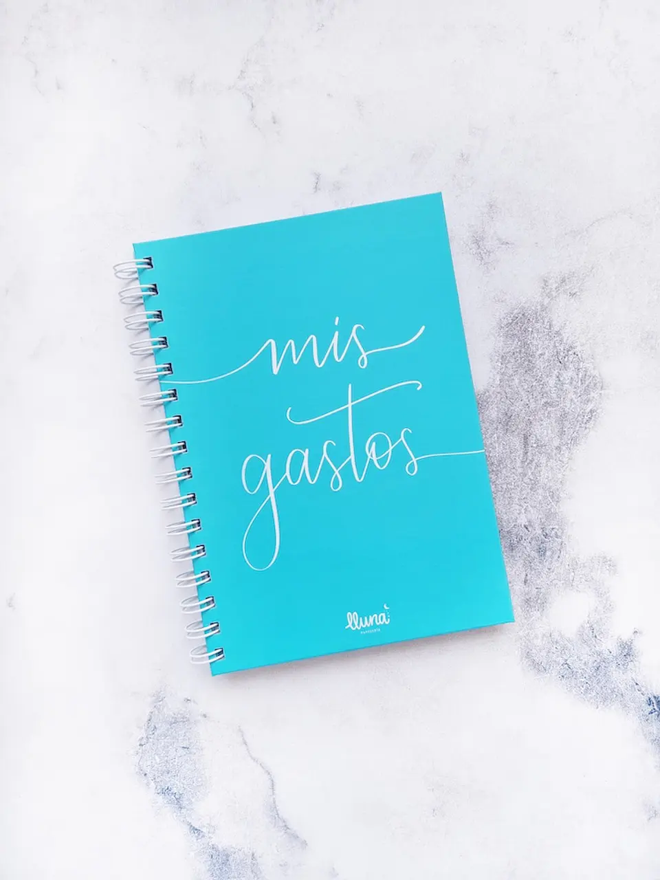 CEM Planner Gastos  1