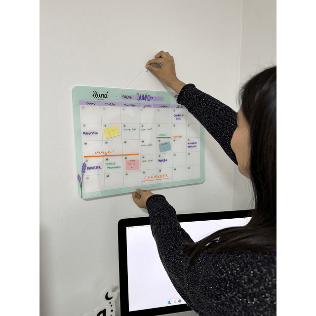 "Maxi Bajo Control" Planner Board