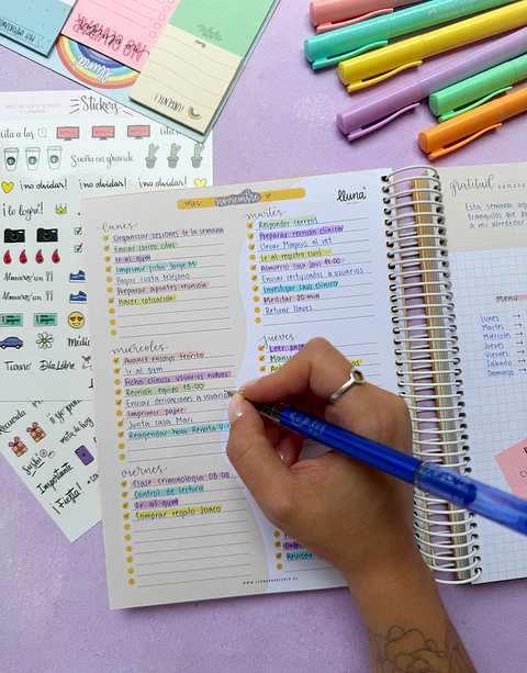 "Cosmos" Planner Anual