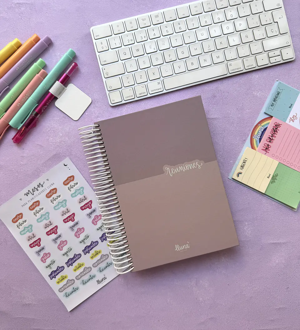 Planner Reuniones  13