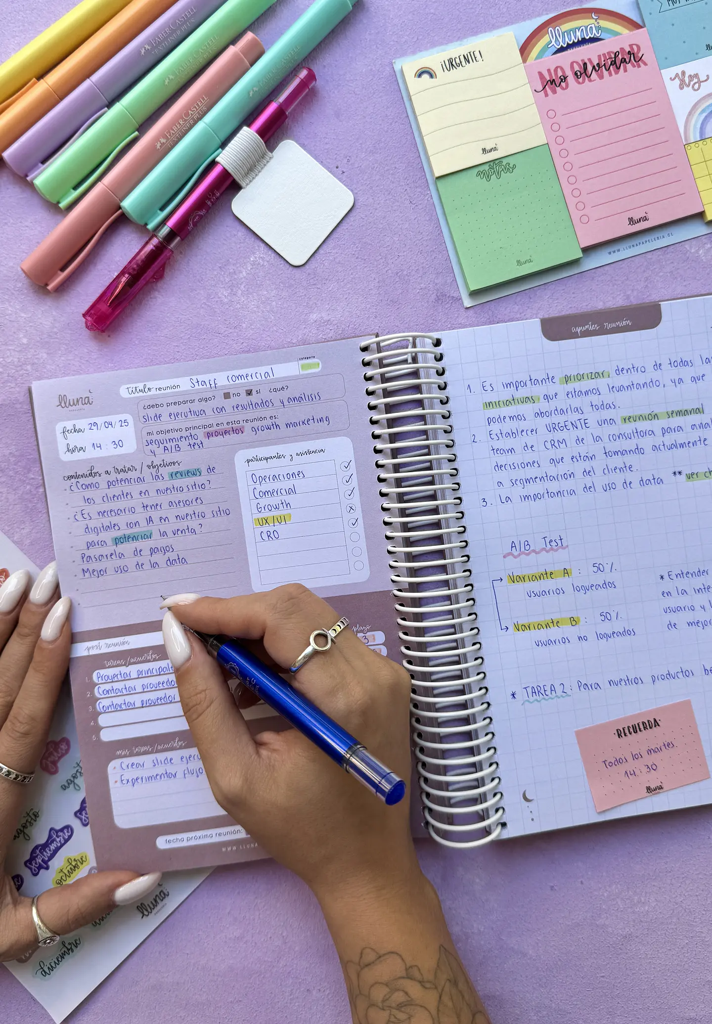 Planner Reuniones  12