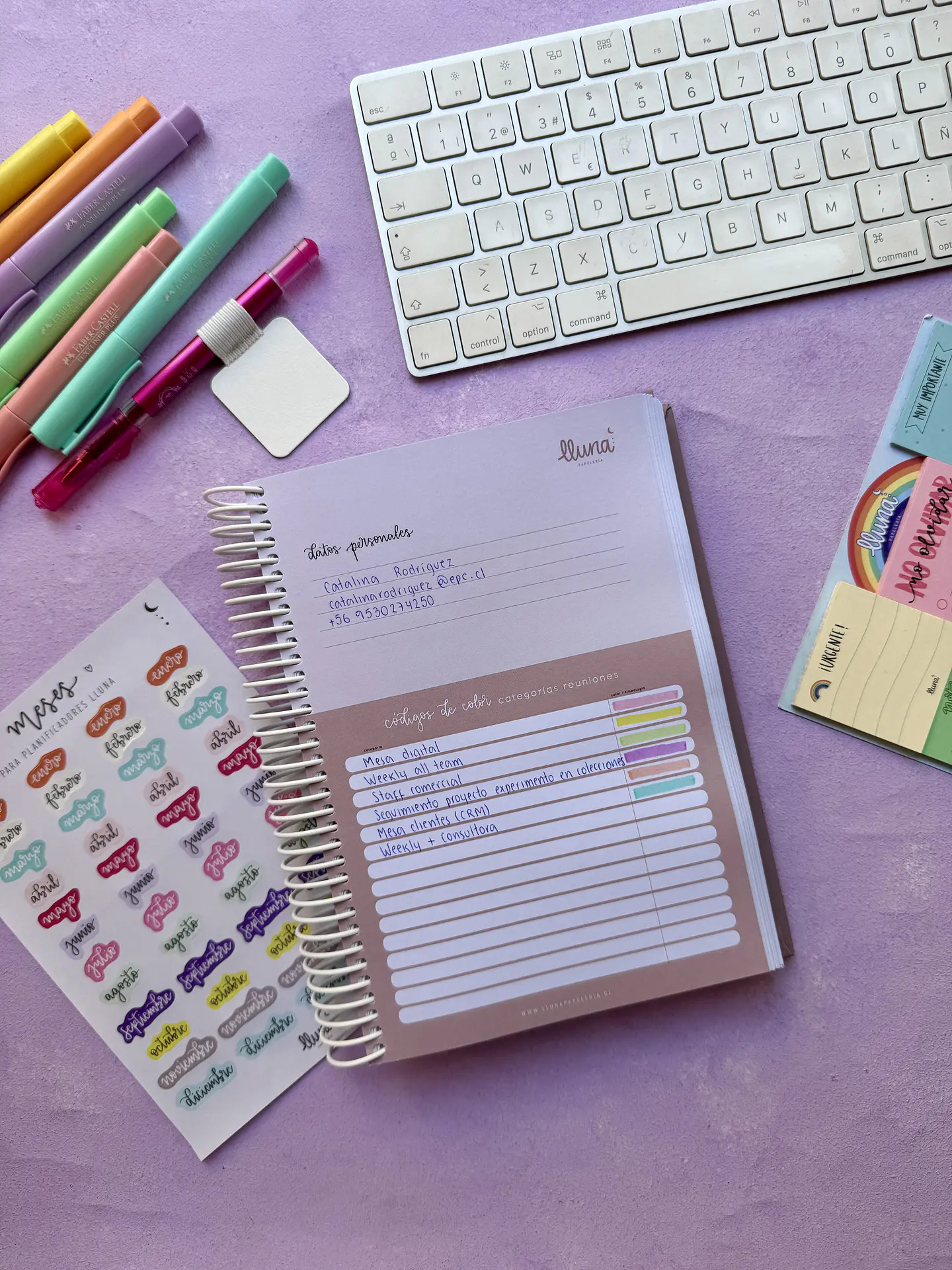 Planner Reuniones  11