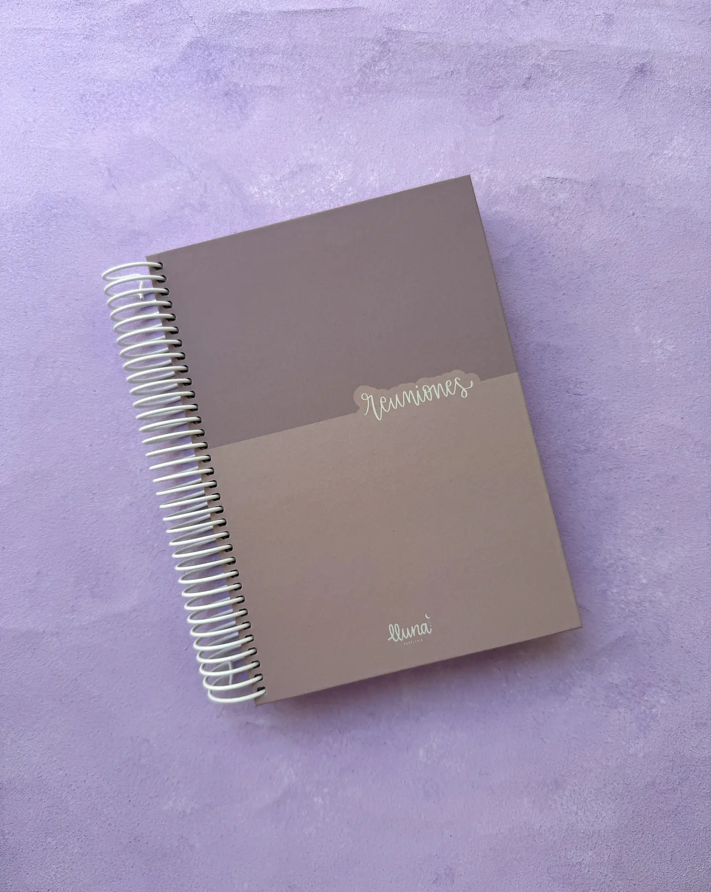 Planner Reuniones  14