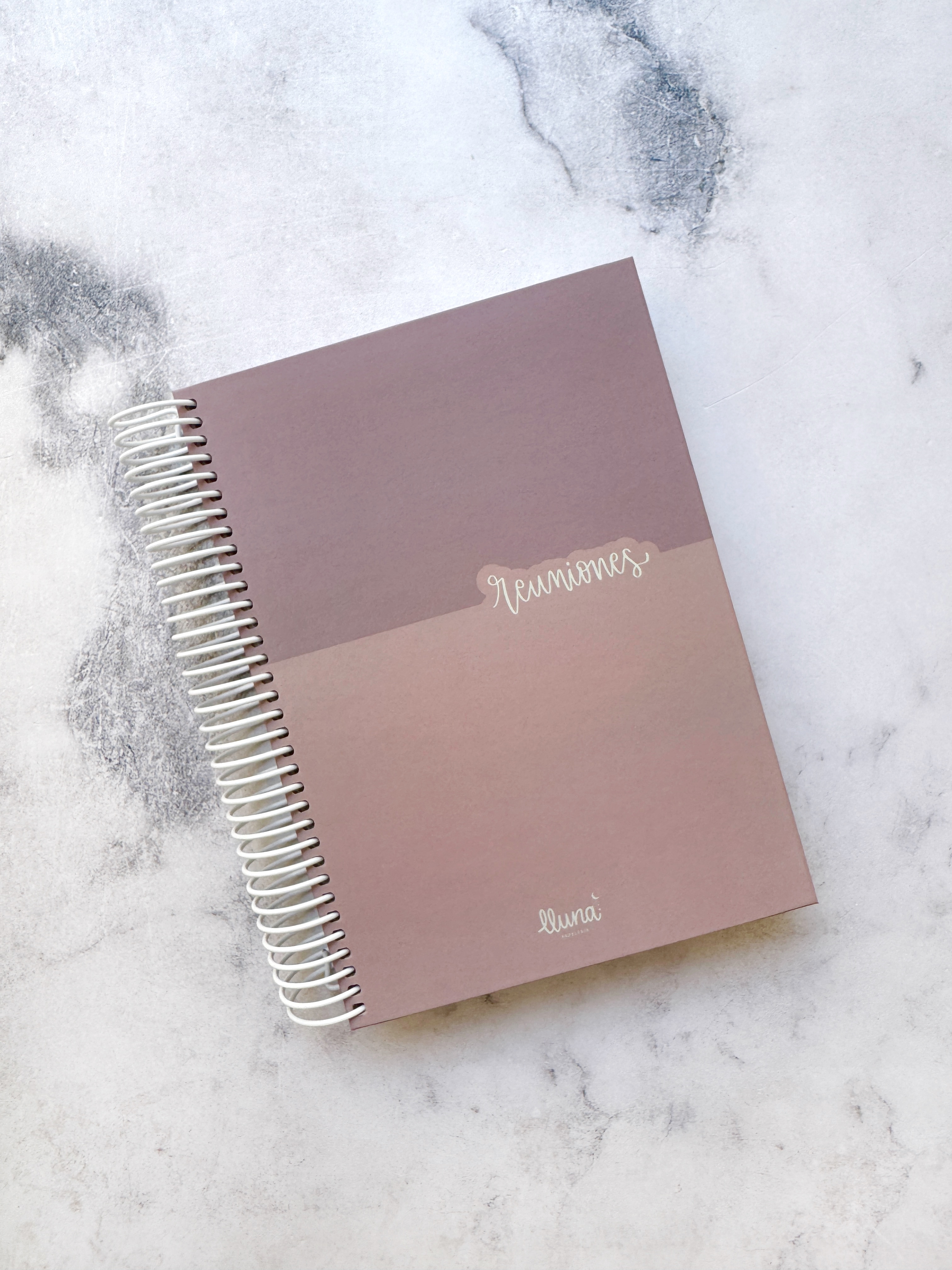 Planner Reuniones