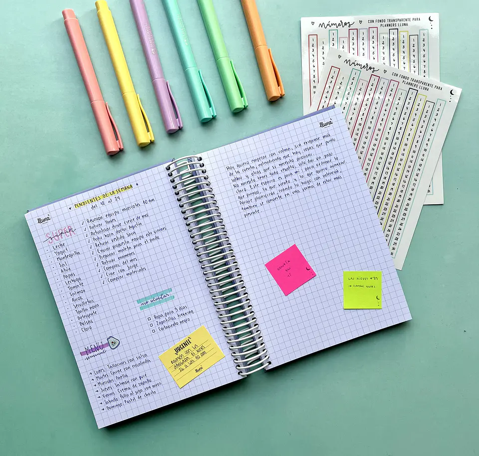 Planner Cuaderno 11