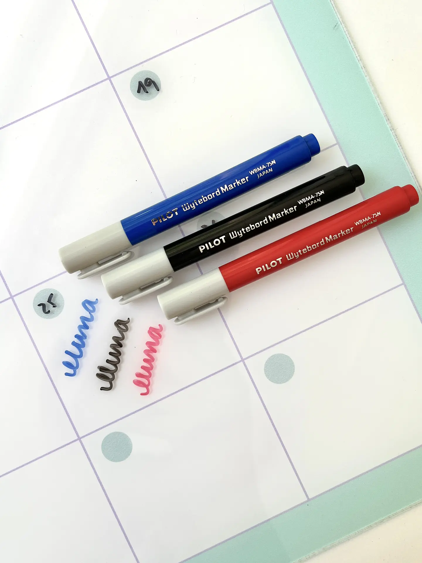 Marcador Pizarra  13