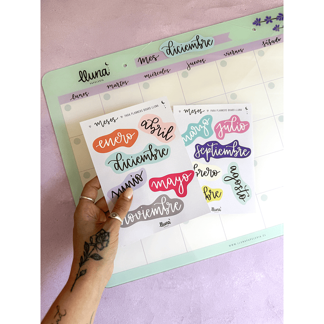"Maxi Bajo Control" Planner Board Mensual + Set Stickers Meses XL de REGALO