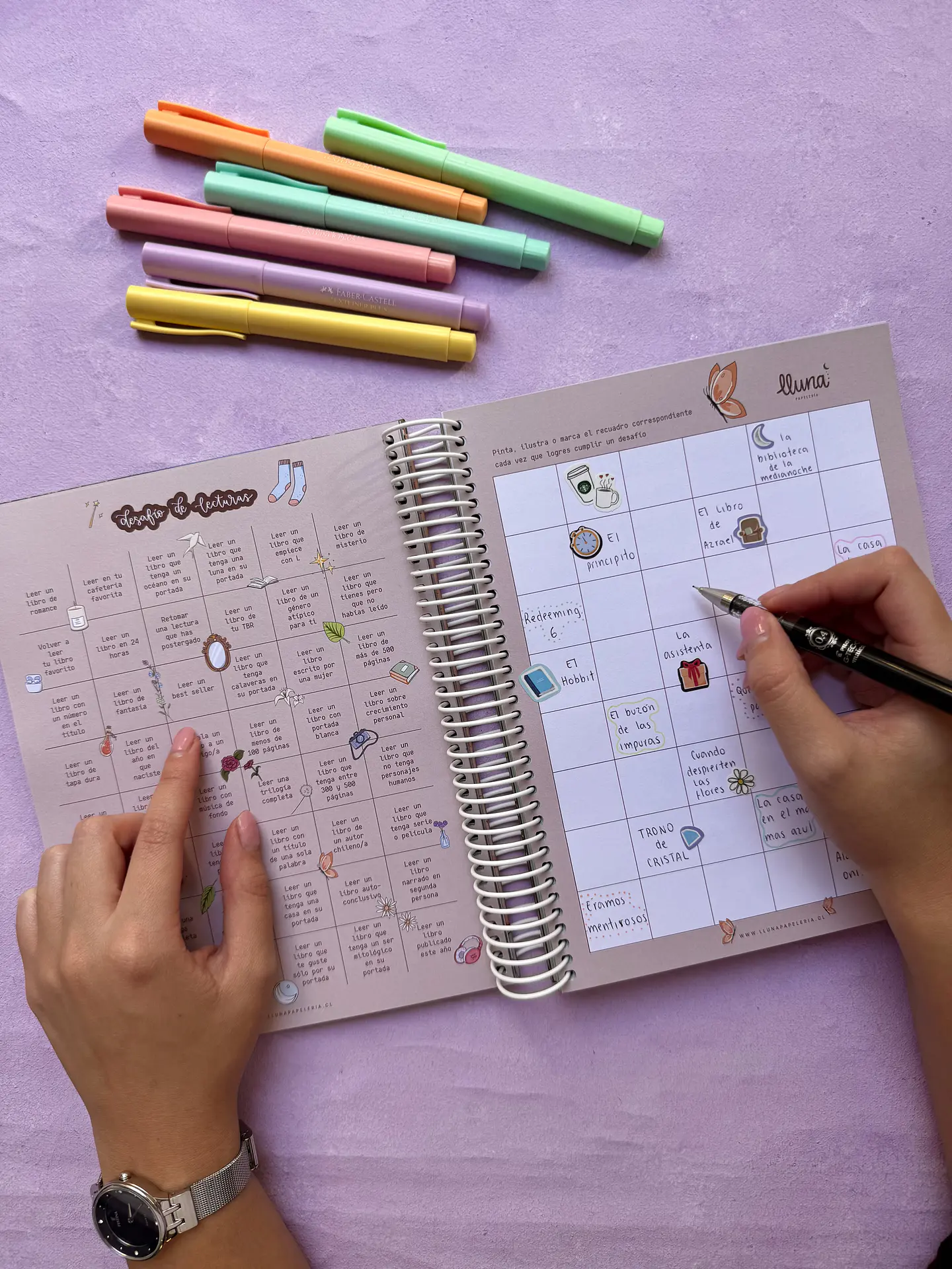 Reading Planner - PREVENTA con despacho el 05/05 12