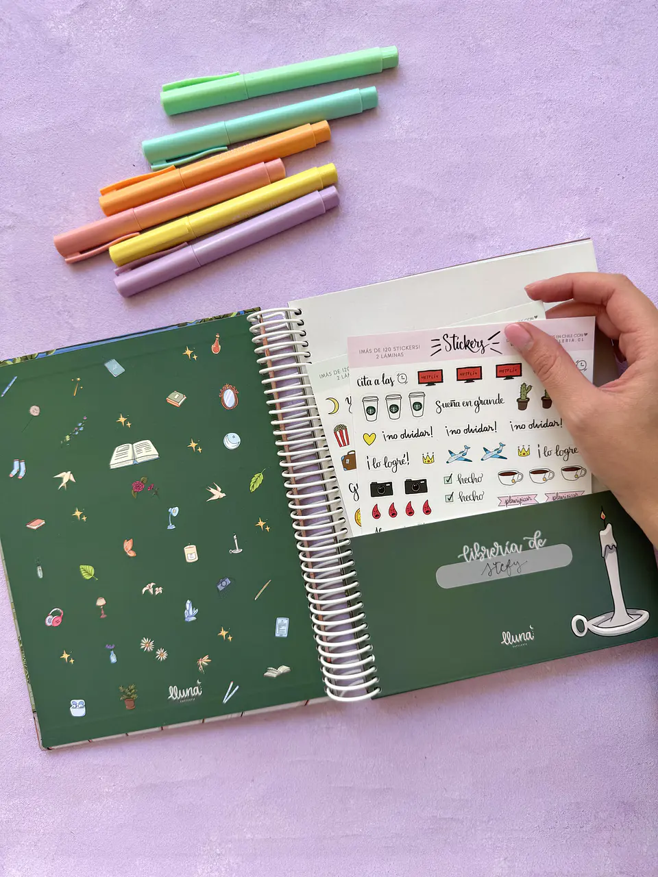 Reading Planner - PREVENTA con despacho el 05/05 3