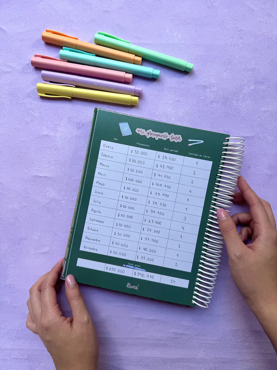 Reading Planner - PREVENTA con despacho el 05/05 13