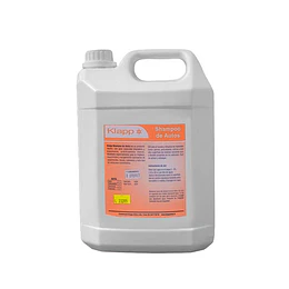 Shampoo de Autos Bidón de 5 Litros.
