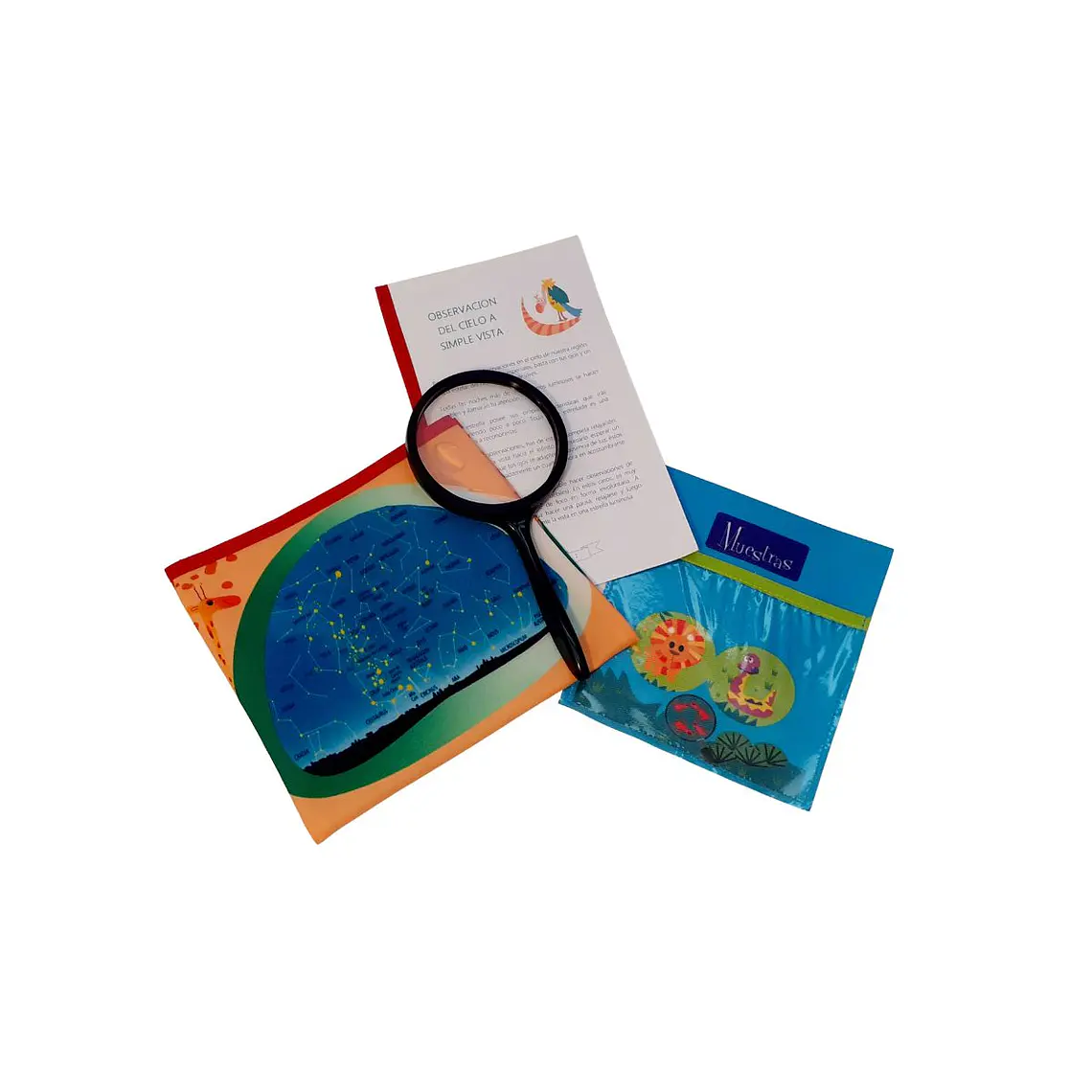 Valija de Mini Exploradores 3