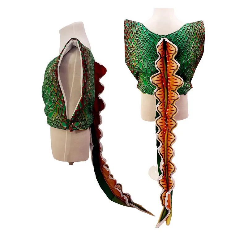 Disfraz de Dinosaurio  4