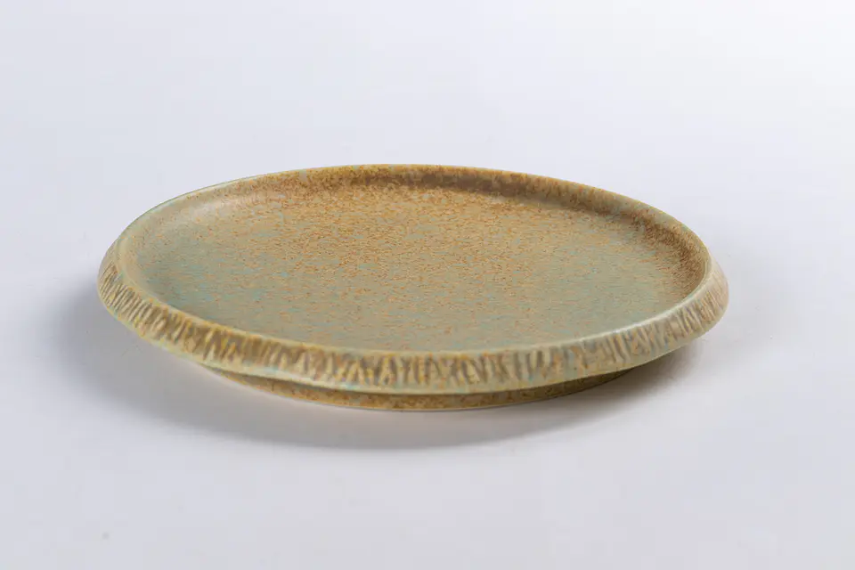 Mini plato Terra 2