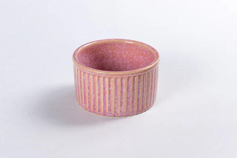 Ramekin Daisy