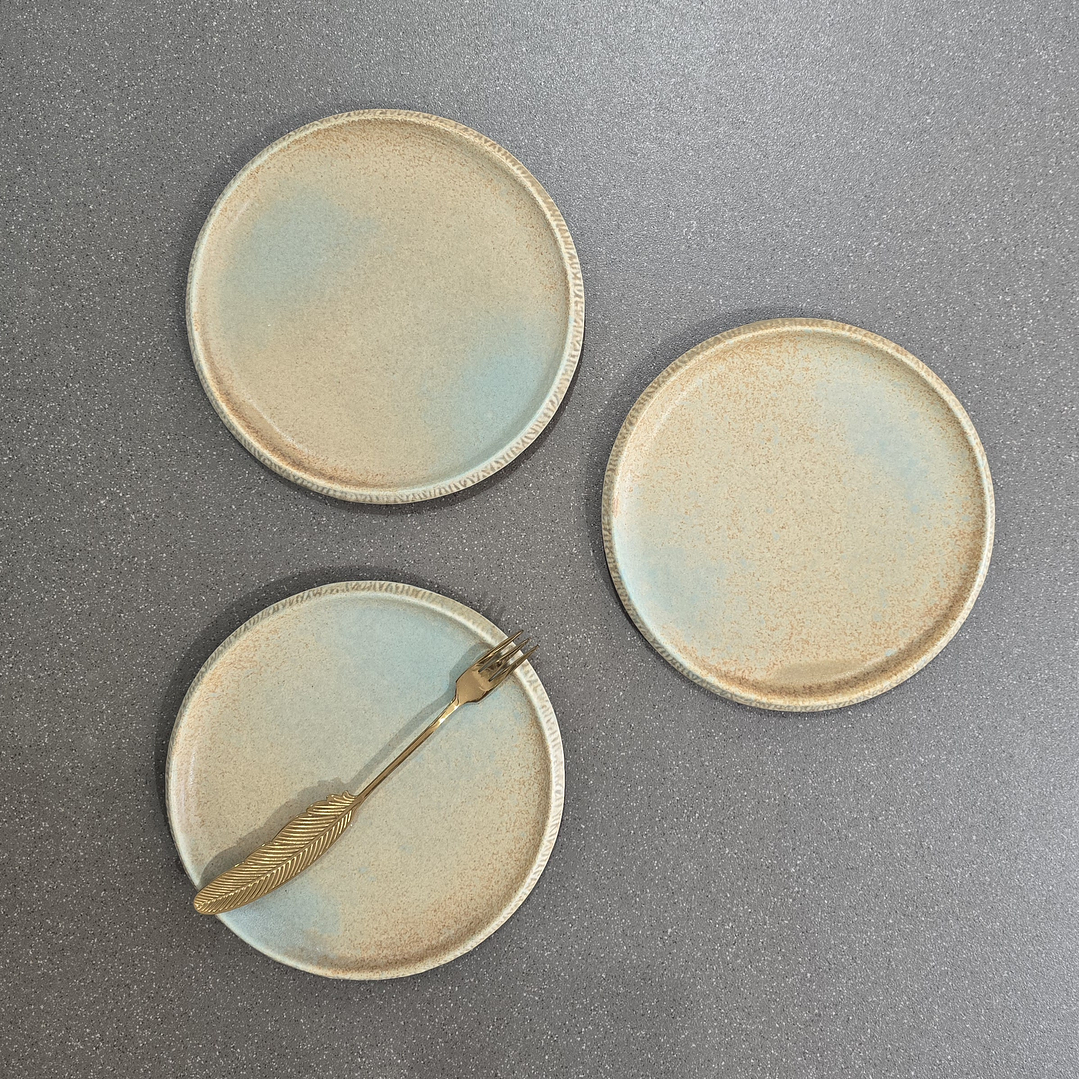 Mini plato Terra 1