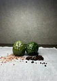 Set sal y pimienta  - Miniatura 2