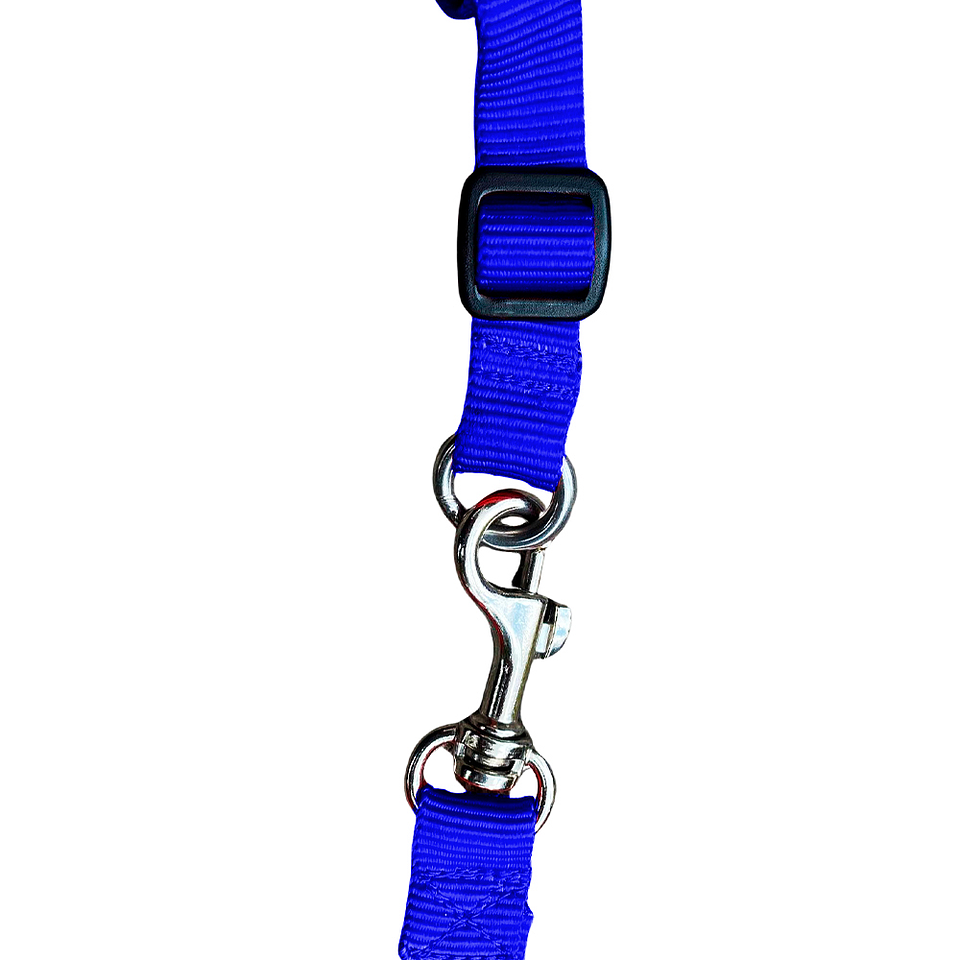 Set de Correa y Arnés Viajero para Mascotas - Talla M - Azul 3