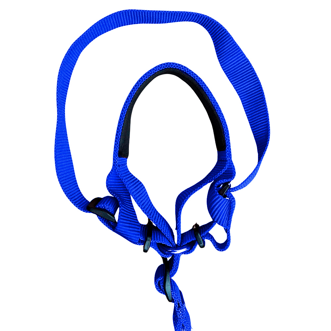 Correa Viajera Color Azul para Mascota Talla M 5