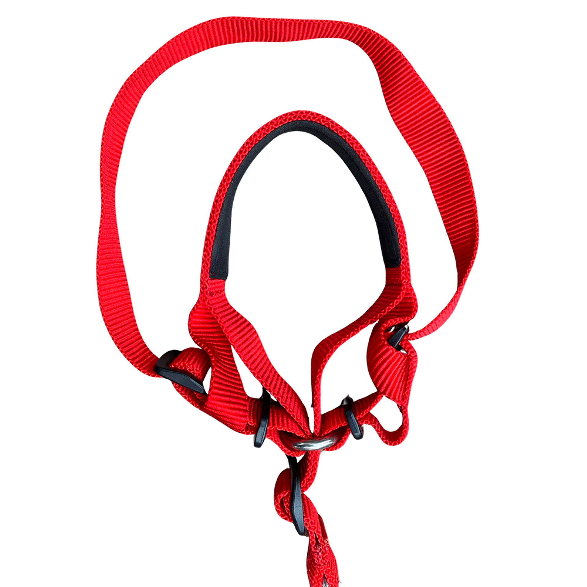 Correa Viajera Color Rojo para Mascota Talla L 4