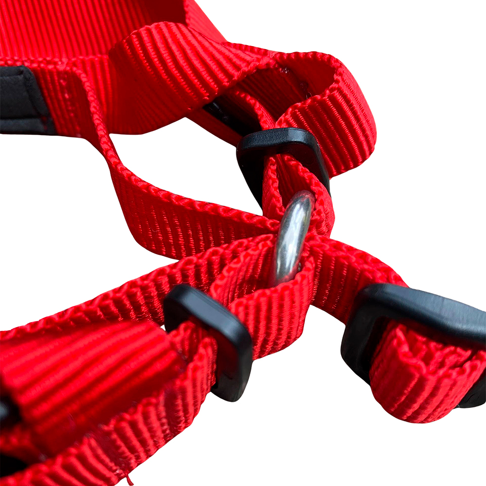 Correa Viajera Color Rojo para Mascota Talla L 6