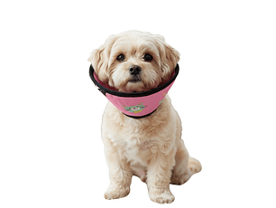 Cono para Mascota Color Rosa con Diseño de Gatos Talla 2